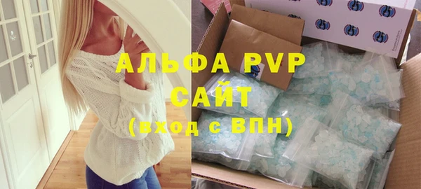 спайс Богданович