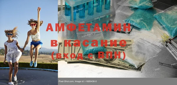 спайс Богданович
